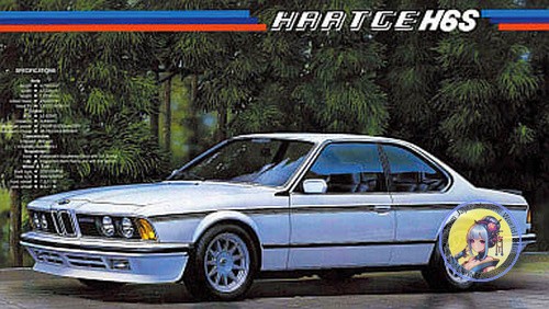 Fujimi em34 bmw hartge - fujimi,